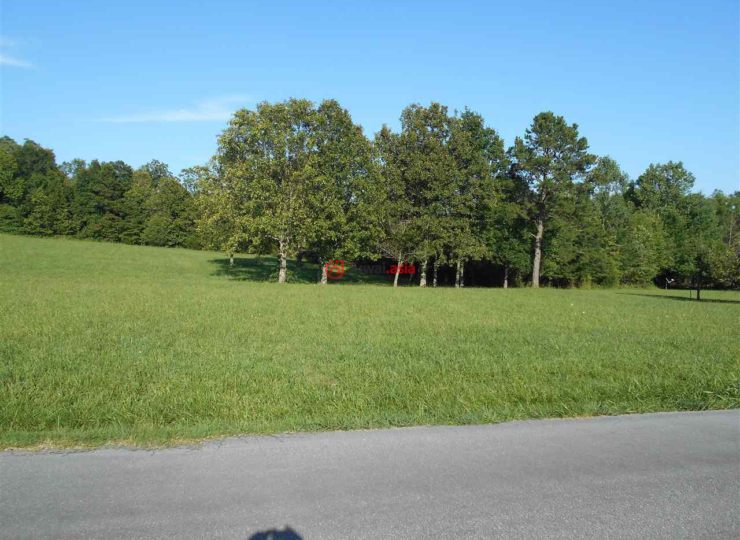 美国密苏里州波普拉布拉夫的房产USD 24,900