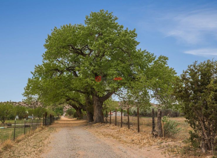美国新墨西哥州Espanola的房产