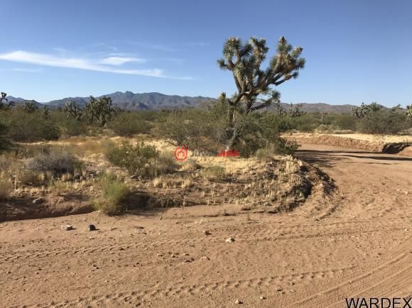 lot 271 six shooter rd, yucca, arizona, united states