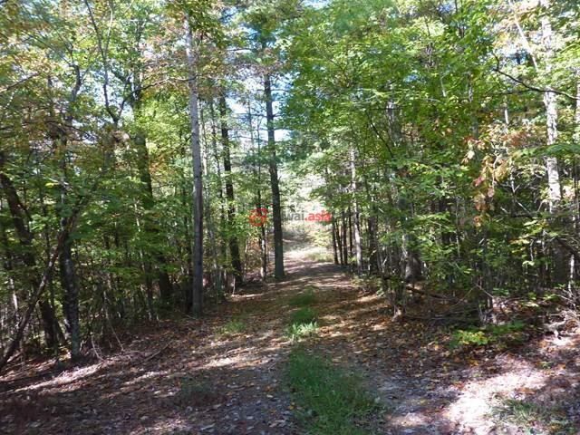 美国佛吉尼亚州bassett的房产