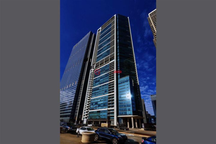 美国伊利诺伊州芝加哥3卧4卫的房产