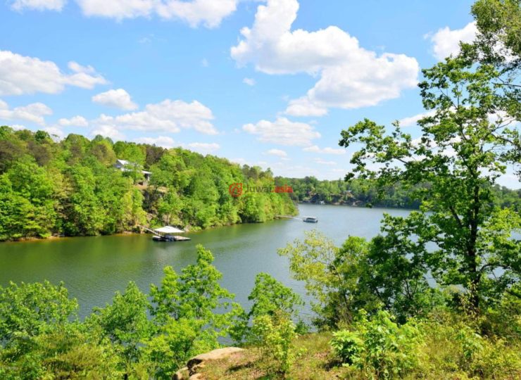 美国阿拉巴马州crane hill的房产